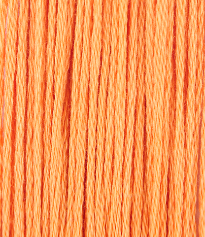 MaxiMouline Embroidery Thread 800s
