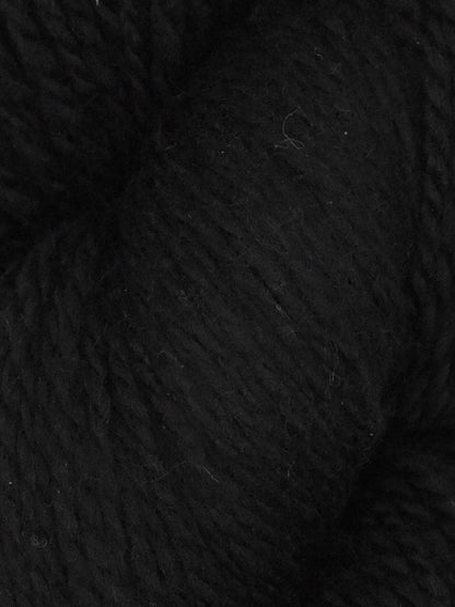 Elder