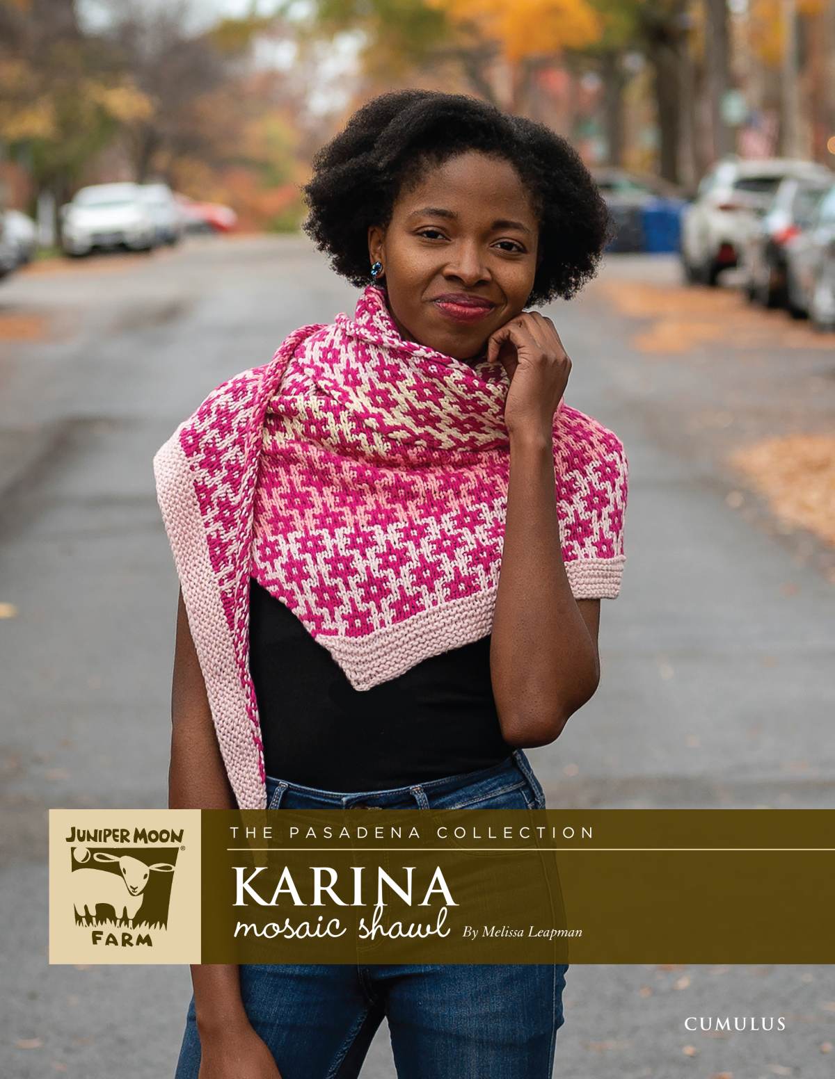 Cumulus-Karina Asymmetrical Shawl
