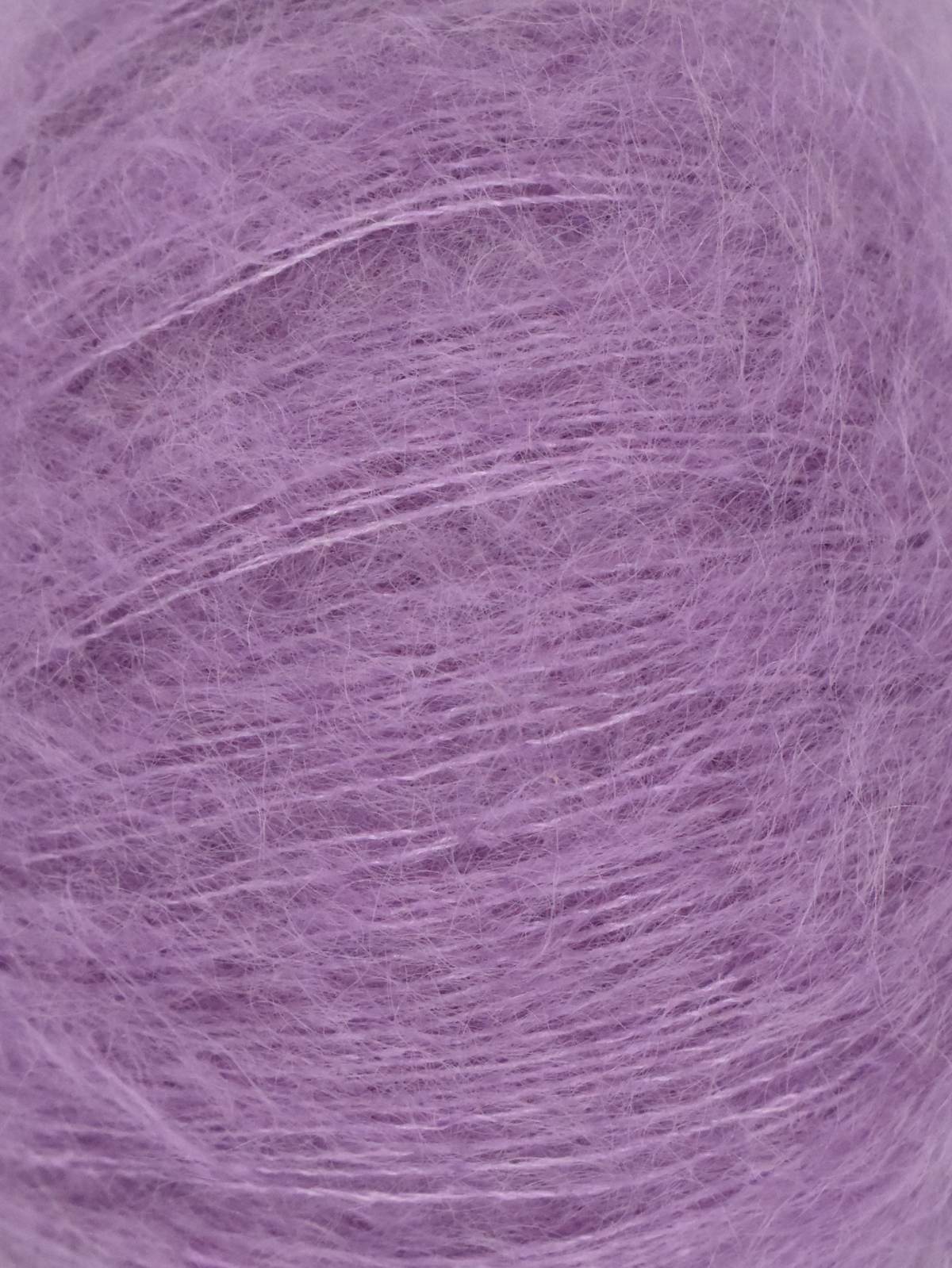 Silky Kid