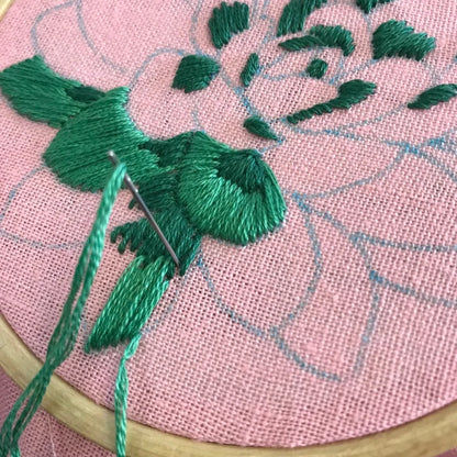 Sweet Succulents - Choose Your Skill Level