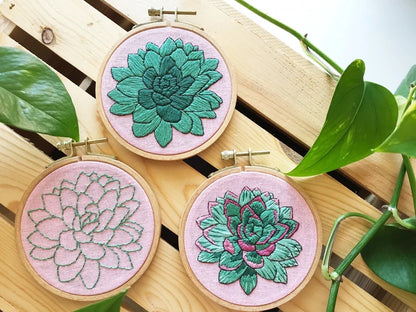 Sweet Succulents - Choose Your Skill Level